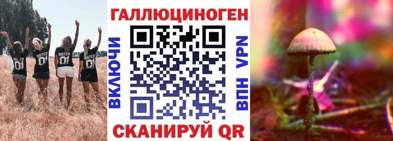 Псилоцибиновые грибы Magic Shrooms  Купить  Георгиевск 